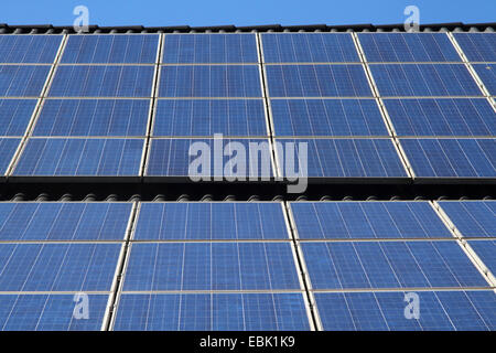 Solarzellen auf dem Dach, Deutschland, Nordrhein Westfalen Stockfoto