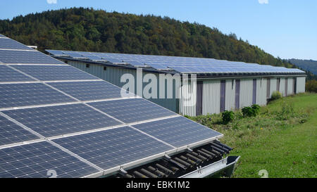 Sonnenkollektoren auf dem Dach eines landwirtschaftlichen Gebäudes, Deutschland Stockfoto