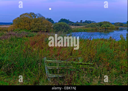 Mondaufgang über das Naturschutzgebiet Breites Wasser, Deutschland, Niedersachsen, Worpswede Stockfoto