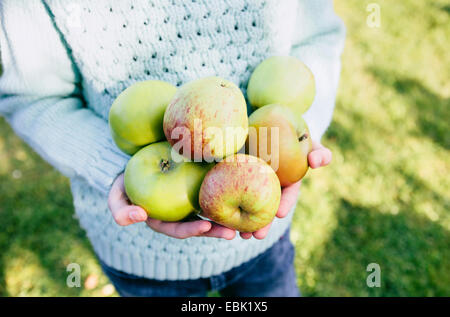 Mädchen in Händen hält, einheimische Äpfel Stockfoto