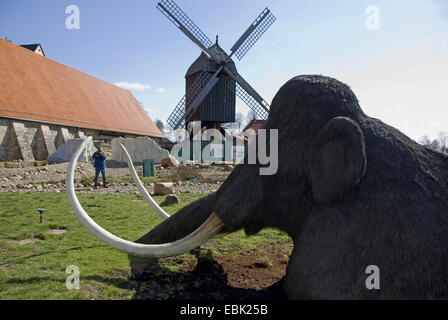 Mammut (Mammuthus spec.), Mammut im Eiszeigarten im Museum Salder Castel mit touristischen und Wind Mühle im Hintergrund, Deutschland, Niedersachsen, Salzgitter Salder Stockfoto