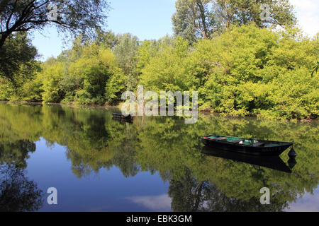 Boote auf dem Altrhein unter Auenwaldes im Sommer, Deutschland Stockfoto