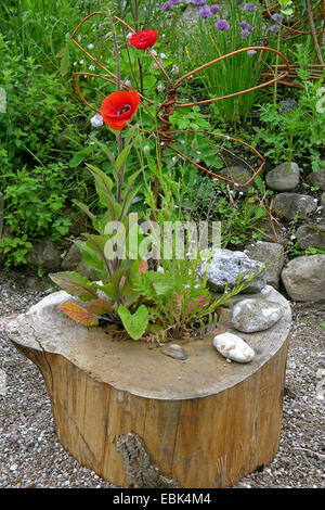 Blumen in einem ausgehöhlten Baum Rost, Deutschland Stockfoto