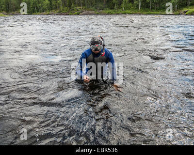 Süßwasser Perle Muschel (schottische Flussperlmuschel), östliche Pearlshell (Margaritifera Margaritifera), Taucher ist einen Fluss mit ein Exemplar in der Hand, Russland, Karelien, Keret Fluss verlassen Stockfoto