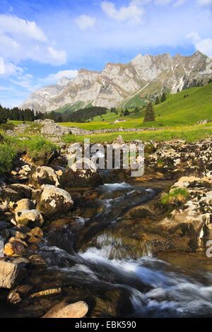 Blick von einer Bergwiese mit einem Bach im Alpstein-massiv mit dem höchsten Berg Säntis (2502 m), Schweiz Stockfoto