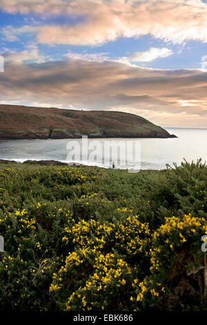 Eine einsame Figur in Manorbier Bay in der Nähe von Tenby in Pembrokeshire, Wales UK Stockfoto