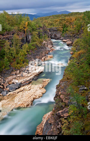 Ansicht von Abiskojakka-Canyon, Schweden, Abisko Nationalpark Stockfoto
