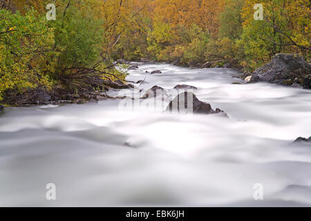Ansicht von Abiskojakka-Canyon, Schweden, Abisko Nationalpark Stockfoto