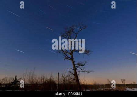 Nacht im Sumpf Goldenstedter Moor mit Sternenhimmel, Langzeitbelichtung, Deutschland, Niedersachsen Stockfoto