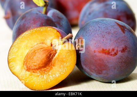 Pflaume (Prunus Domestica), Früchte Stockfoto