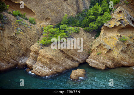 Felsenküste Calanque von Figuerolles, Frankreich-Calanques-Nationalpark Stockfoto