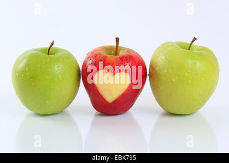 Apfel (Malus Domestica), roten Apfel mit Herz unter grünen Äpfeln Stockfoto