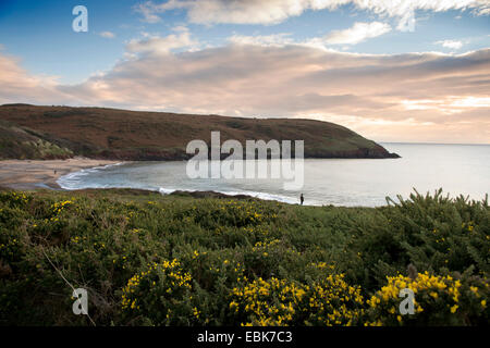 Manorbier Bay in der Nähe von Tenby in Pembrokeshire, Wales UK Stockfoto