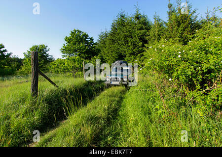 Off-Road-Fahrzeug auf Feldweg im Oderbruch Landschaft, Deutschland, Brandenburg, Bad Freienwalde Stockfoto