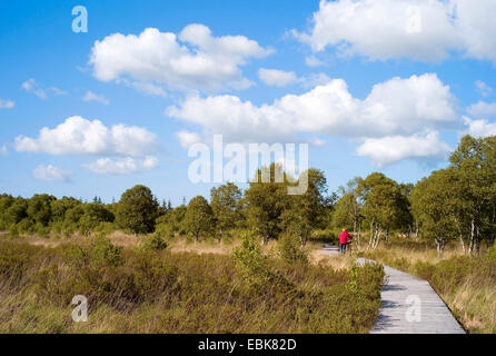 Lehrpfad durch das Ahlener Moor, Deutschland, Niedersachsen Stockfoto
