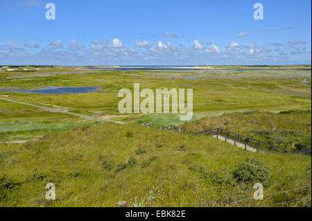 Naturschutzgebiet De Slufter, Niederlande, Texel Stockfoto