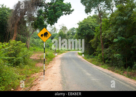 Elefanten beim Überqueren der Straße zu unterzeichnen, in Sri Lanka Stockfoto