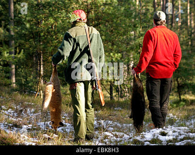 Fuchs (Vulpes Vulpes), Jäger mit erlegten, Deutschland, Niedersachsen Stockfoto