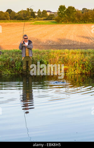 Regenbogenforelle (Oncorhynchus Mykiss, Salmo Gairdneri), gefangen von einem Fliegenfischer, Deutschland, Bayern Stockfoto