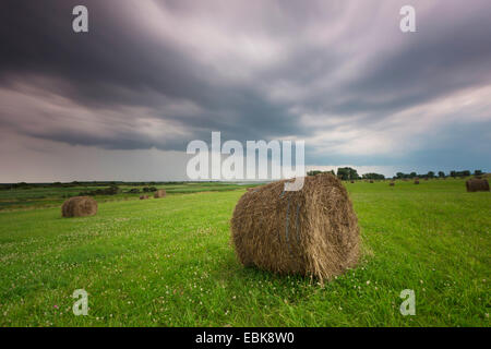 Hayballs auf einer Wiese am nähert sich Gewitter, Deutschland, Mecklenburg-Vorpommern, Hiddensee Stockfoto