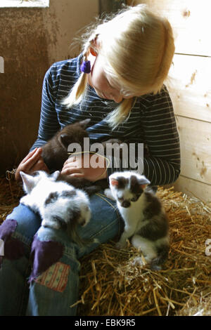 Hauskatze, Hauskatze (Felis Silvestris F. Catus), kleine Mädchen sitzen auf Stroh in einer Scheune spielen mit Kätzchen, Deutschland Stockfoto