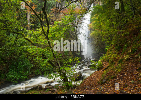 Grey Mare Tail Wasserfall, Kinlochleven, Schottisches Hochland, Schottland Stockfoto