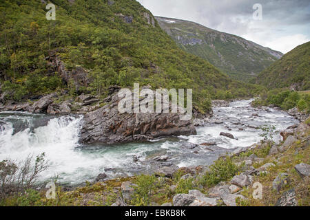 Dovrefjell-Fluss in Fjell-Landschaft, Norwegen Dovrefjell-Sunndalsfjella-Nationalpark, Kongsvoll Stockfoto