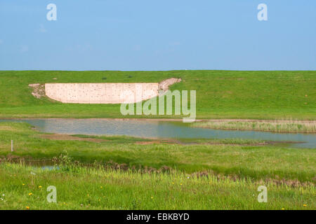 konkrete Befestigung auf dem Deich, Niederlande, Texel, West Fisia Stockfoto