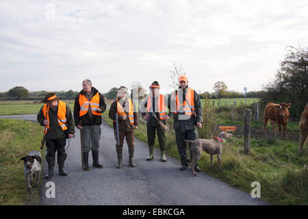 Gruppe der Jäger mit Jagdhunden auf eine asphaltierte Weg durch eine Auenlandschaft vorbereitet für eine Treibjagd, Deutschland Stockfoto