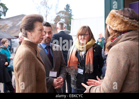 Llanelwedd, Powys, UK. 2. Dezember 2014. Prinzessin Anne besucht zum ersten Mal die Royal Welsh Winter Fair. Zusammen mit einigen anderen Mitgliedern der königlichen Familie Prinzessin Anne unterstützte der Royal Welsh Showground Society-Events und besuchte die Royal Welsh Show, 1981. Die Royal Welsh Winter Fair feiert sein 25-jähriges Jubiläum. Bildnachweis: Graham M. Lawrence/Alamy Live-Nachrichten. Stockfoto