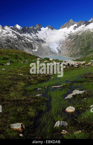 Stausee in den Schweizer Alpen, Oberaarsee, Oberaargletscher mit Oberaarhorn, 3638 m, Schweiz, Berner Oberland, Grimselpass Stockfoto