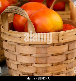 Urtomaten im Karton Stockfoto