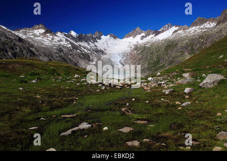 Stausee in den Schweizer Alpen, Oberaarsee, Oberaargletscher mit Oberaarhorn, 3638 m, Schweiz, Berner Oberland, Grimselpass Stockfoto