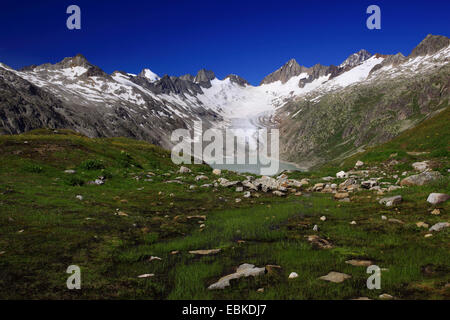 Stausee in den Schweizer Alpen, Oberaarsee, Oberaargletscher mit Oberaarhorn, 3638 m, Schweiz, Berner Oberland, Grimselpass Stockfoto