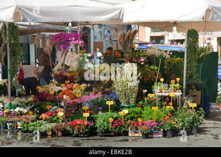 Marktstand Blumen auf dem römischen Campo de Fiori, Italien, Rom Stockfoto