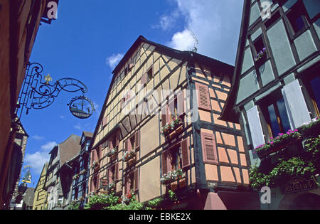 Fachwerkhäuser, Frankreich, Elsass, Riquewihr Stockfoto