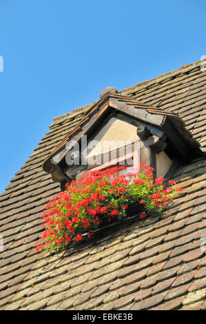 Hotel Schiefes Haus in viele, Deutschland, Baden-Württemberg, Ulm Stockfoto