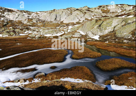 Grimselpass, Schweiz, Wallis, Oberwallis Stockfoto