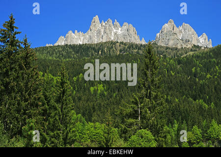 Blick zur Cadini di Misurina, Italien, Südtirol, Dolomiten, Auronzo Stockfoto