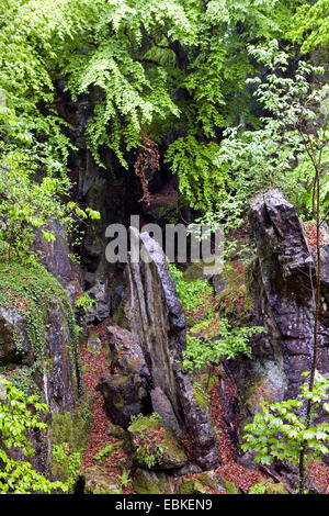 Felsenmeer Feld Block, Deutschland, Nordrhein-Westfalen, Hemer Stockfoto