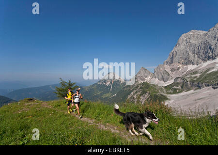 Border Collie (Canis Lupus F. Familiaris), junges Paar mit Hund Trailrunning im Dachsteingebirge, Österreich, Steiermark, Dachstein Stockfoto