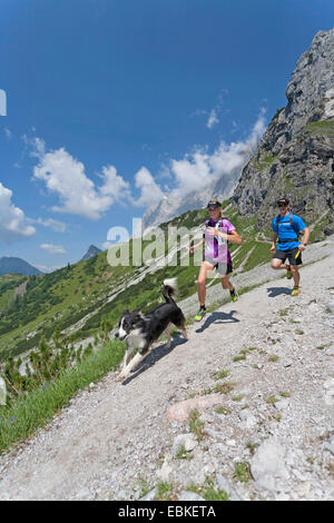 Border Collie (Canis Lupus F. Familiaris), junges Paar mit Hund Trailrunning im Dachsteingebirge, Österreich, Steiermark, Dachstein Stockfoto