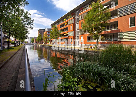 Wohngebäude im Innenhafen, Duisburg, Ruhrgebiet, Nordrhein-Westfalen, Deutschland Stockfoto