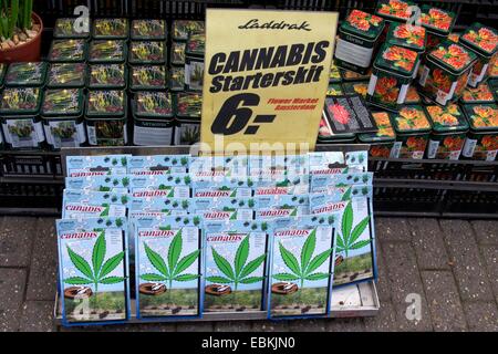 Hanfsamen Verkauf in Amsterdam, Bloemenmarkt, Amsterdam, Niederlande, Europa Stockfoto