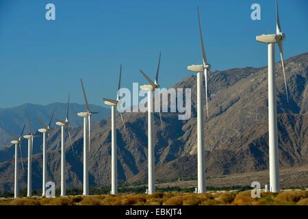 San Gorgonio Pass Wind Farm, USA, Kalifornien, San Bernadino Berge, Palm Springs Stockfoto