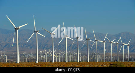 San Gorgonio Pass Wind Farm, USA, Kalifornien, San Bernadino Berge, Palm Springs Stockfoto