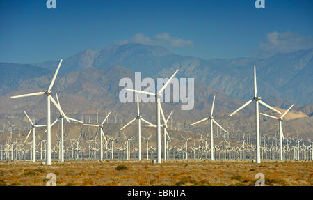 San Gorgonio Pass Wind Farm, USA, Kalifornien, San Bernadino Berge, Palm Springs Stockfoto