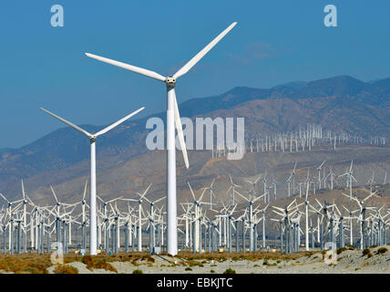 San Gorgonio Pass Wind Farm, USA, Kalifornien, San Bernadino Berge, Palm Springs Stockfoto