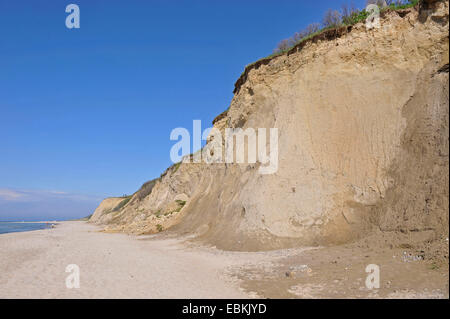 Stapeln Sie "Hohes Ufer" in der Nähe von Ahrenshoop, Deutschland, Mecklenburg-Vorpommern, Fischland Stockfoto