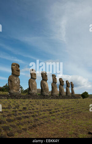 Chile, Osterinsel aka Rapa Nui. Ahu Akivi, zeremonielle Plattform mit sieben restaurierte stehenden Moai Statuen. Stockfoto